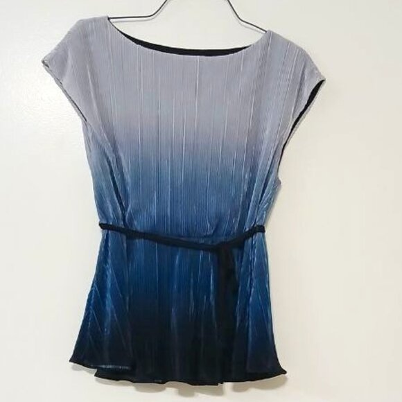 DKNY Ombre Pleated Blouse Blue/Gray Size - L - Picture 1 of 13